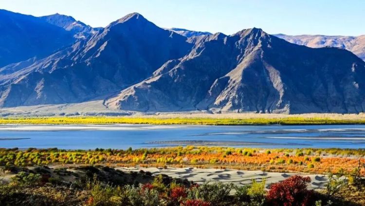 懂西藏的人，一定不會錯過林芝的秋天