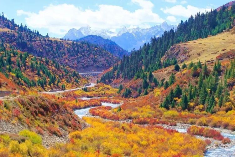 懂西藏的人，一定不會錯過林芝的秋天