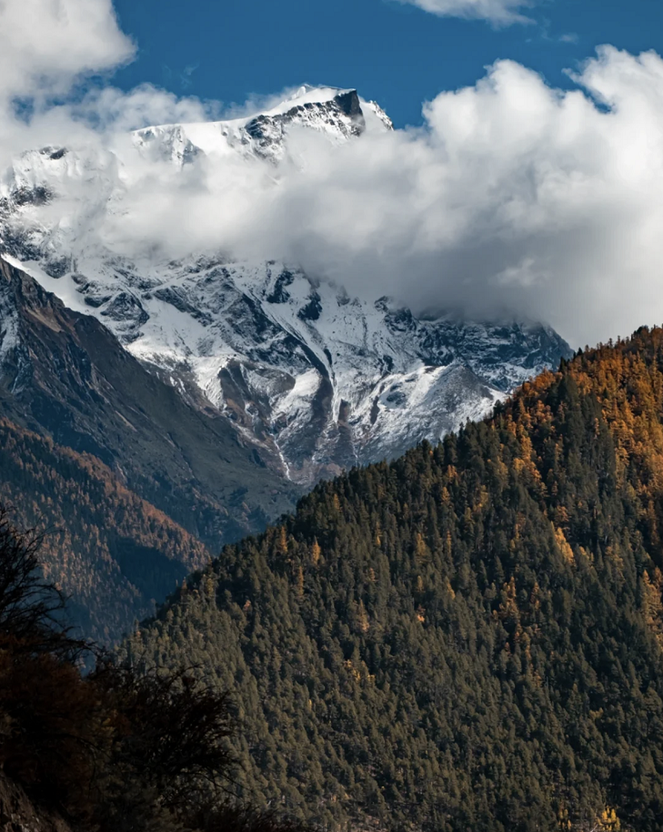懂西藏的人，一定不會錯過林芝的秋天
