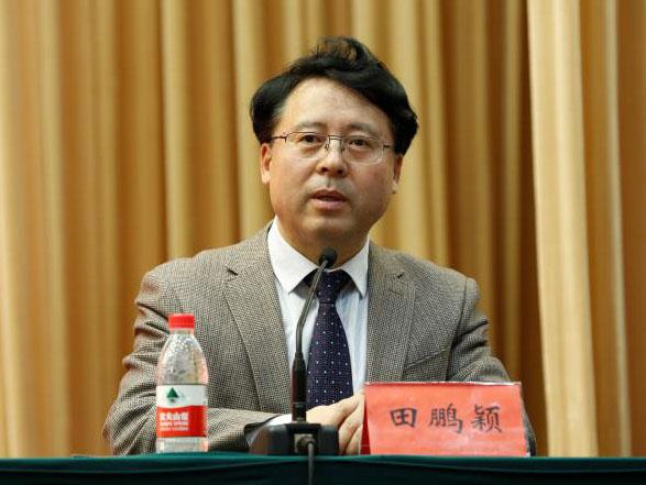 田鵬穎：投入其中、樂在其中、安身其中
