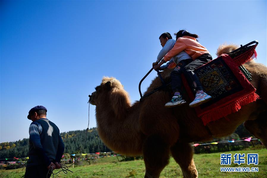 （全面建成小康社會“百城千縣萬村調研行”·圖文互動）（7）青海卡陽村：“光棍村”的華麗轉身